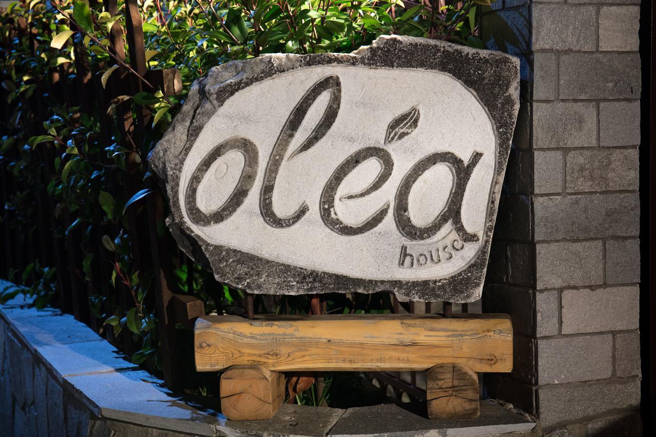 Olea House Apartment Limenaria  Exterior photo